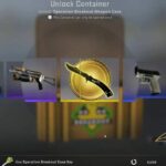 What Cases Have Butterfly Knives