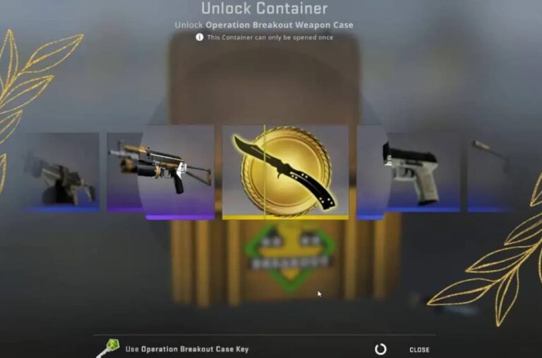 What Cases Have Butterfly Knives