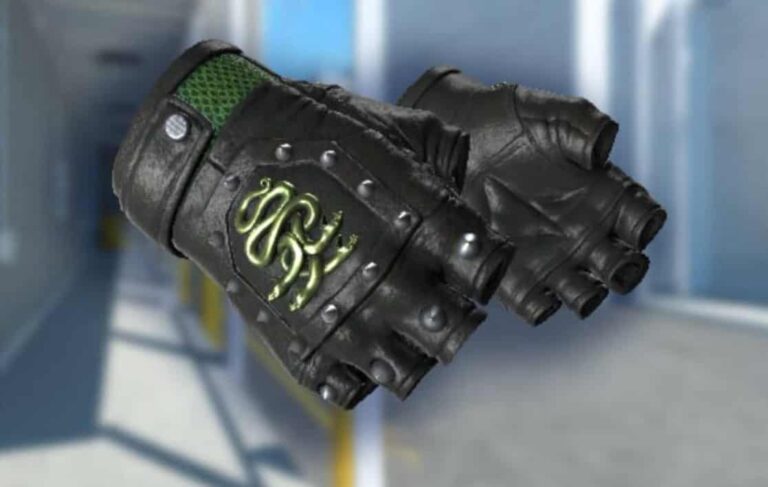 Best Hydra Gloves Skins in CS2