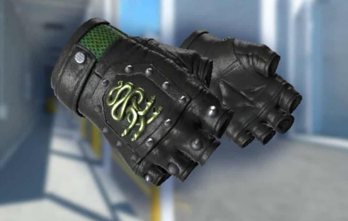 Best Hydra Gloves Skins in CS2